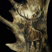 detail