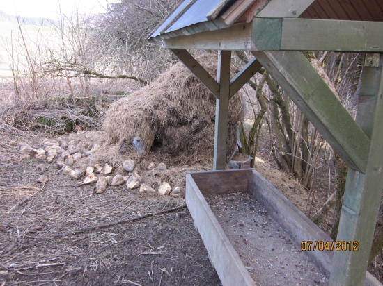 doprikrmenie odozva na osamelehovlka