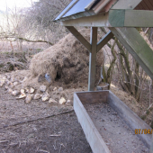 doprikrmenie odozva na osamelehovlka