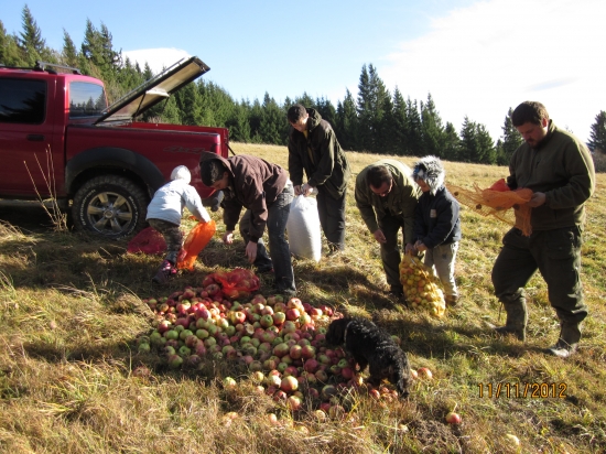 prikrmovanie vo vetre