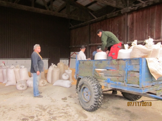 priprava na zimne prikrmovanie