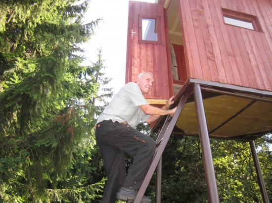 posed ano nie mozno asi preco no lebo tak