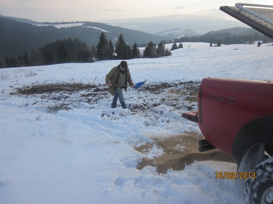 uzitocne nedelne dopoludnie