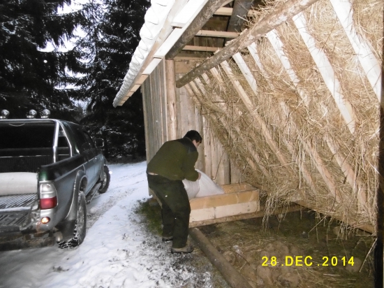 doplnenie jadr.krmiva