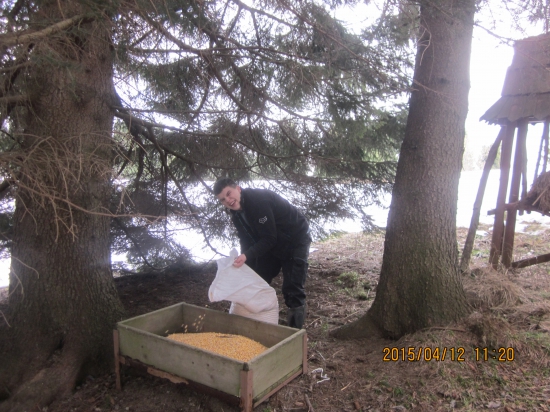 este stale ide na odbyt