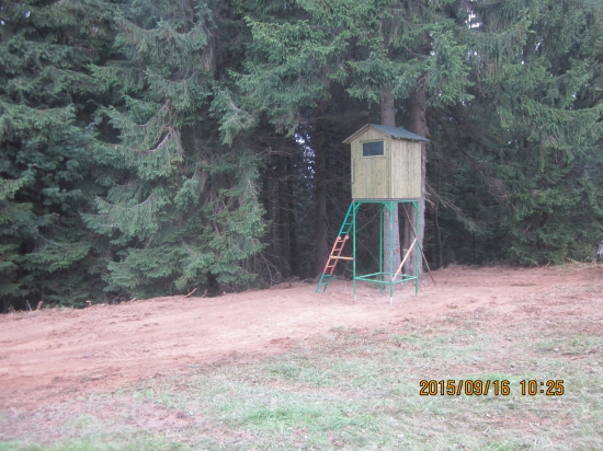 novy posed kandidata