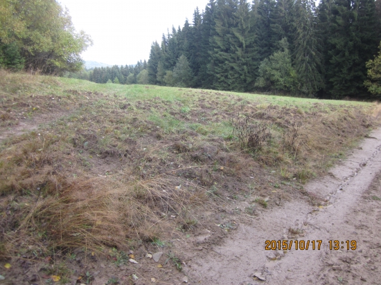 orba