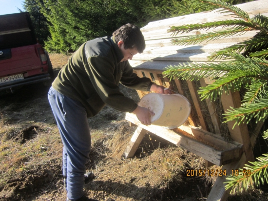 vianočné prikŕmenie