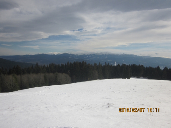 obednajsi vyhlad po doplneni krmiva
