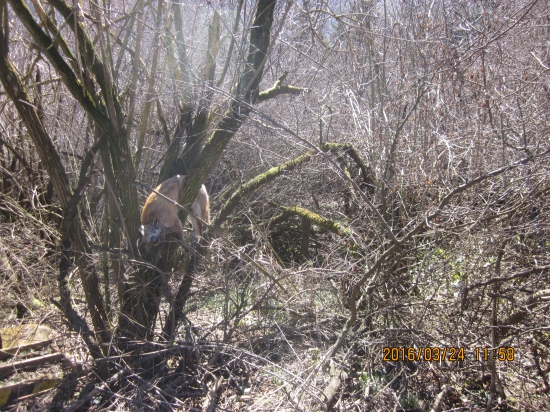 nevim si to vysvetlit