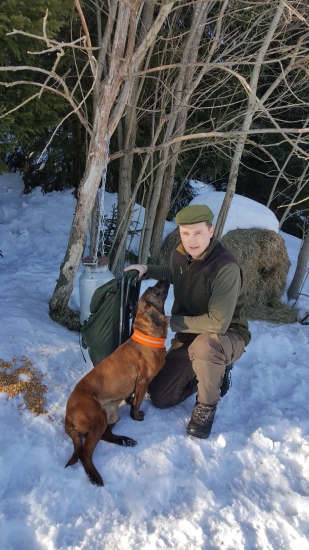 pravidelne prikrmovanie