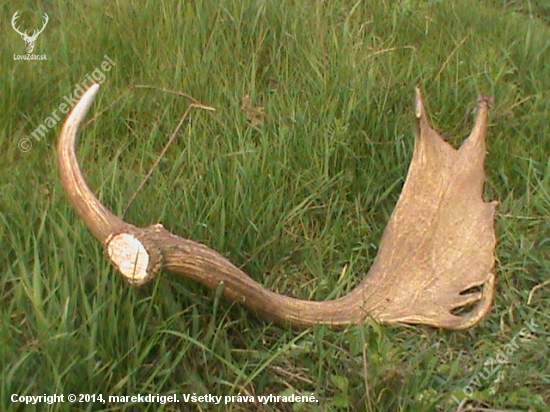 Aprilova lopata