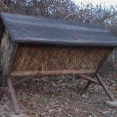 Oslavuje 40 rokov