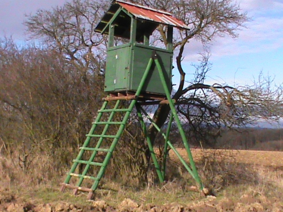 Z polovnickej knihy...