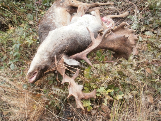 UTRPENIE A ZÁROVEŇ NESMIERNE ŠŤASTIE