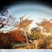 včerajšia prechádzka