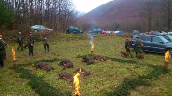 pekný upršaný den