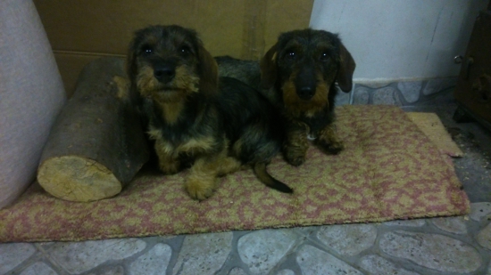 Po prechádzke,pri peci.