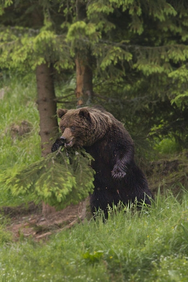 Obnažený ožran.....