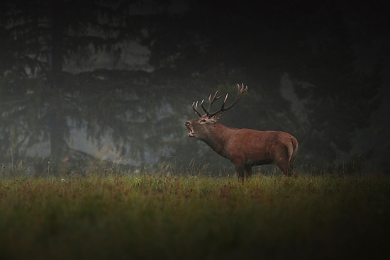 a už to skončilo...