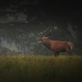 a už to skončilo...