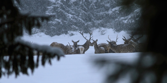 Prišiel som neskoro..
