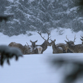Prišiel som neskoro..