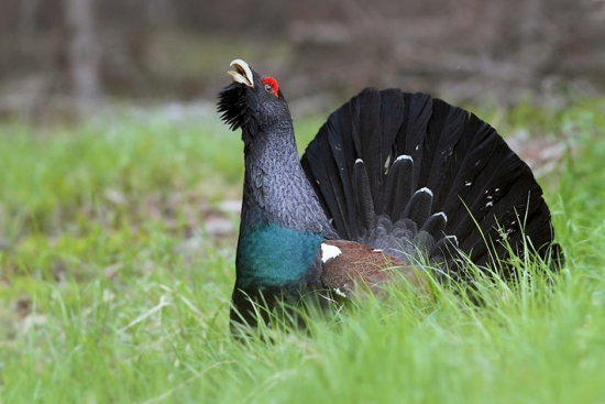 už nám to skončilo ..