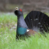 už nám to skončilo ..