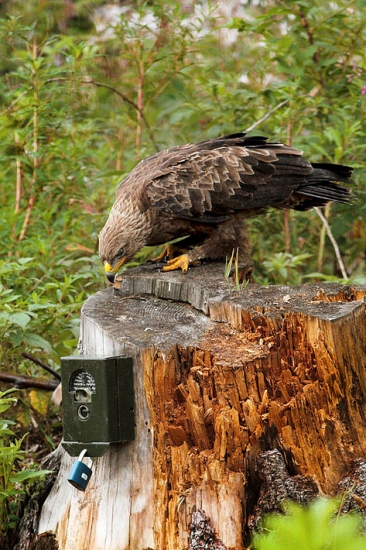 fotí, či nefotí..