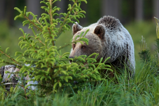 10,20,30... hľadaj ma !