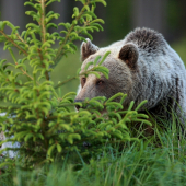 10,20,30... hľadaj ma !