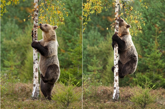 metóda šplhania ...