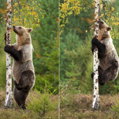 metóda šplhania ...
