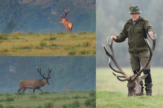 Spomienka na kráľa