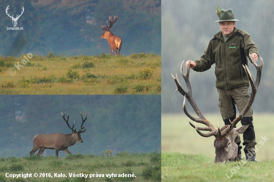 Spomienka na kráľa