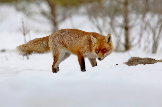 Po prebdenej noci....