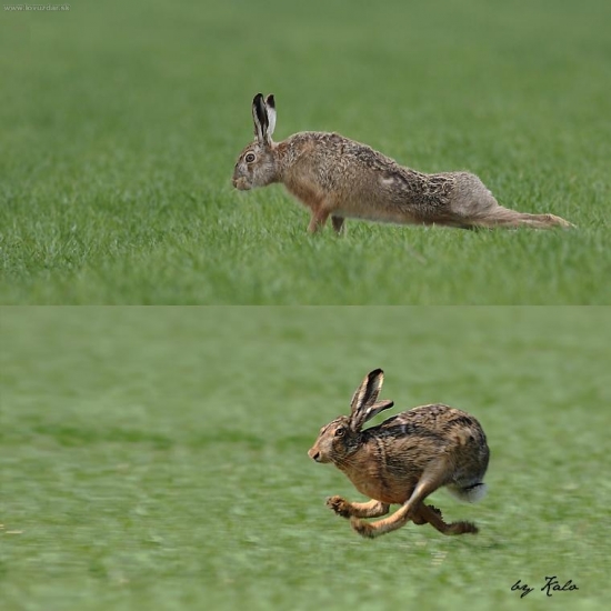 Pozóór štart..... , už letím!