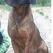 HASA spod Oravského hradu