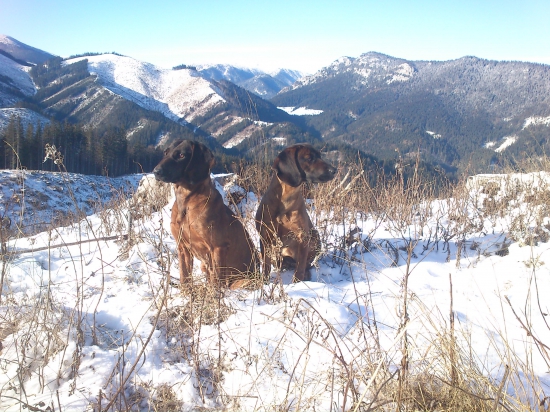 CHS spod Radovickej skaly