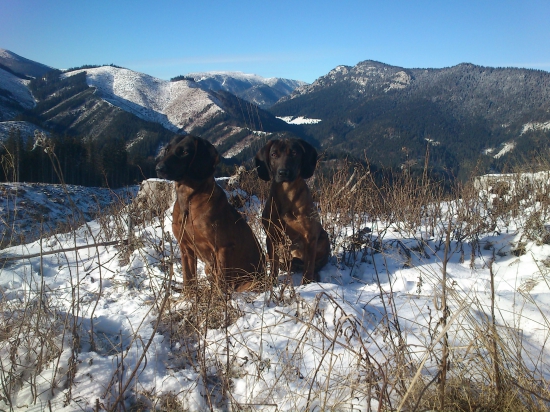 CHS spod Radovickej skaly        Kritie