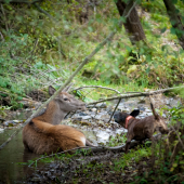 Jedna s dohľadávok v roku 2015