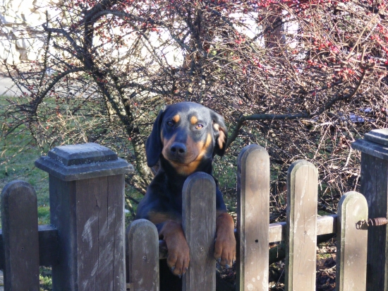 kde ste boli tak dlho!?!