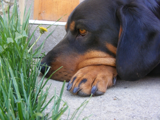 kto vie nad cim rozmysla