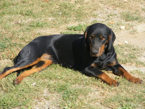 Aja z Hrachovského vŕšku