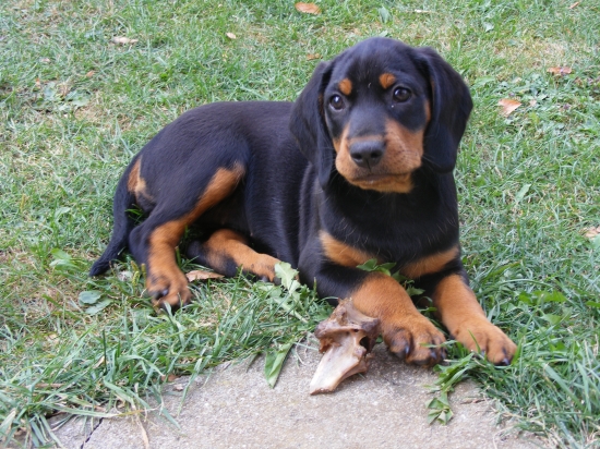 Z Hrachovského vŕšku