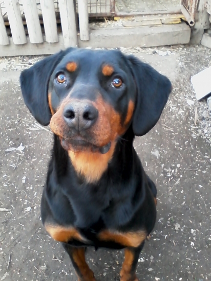 Flora z Hrachovského vršku 11 mesiacov