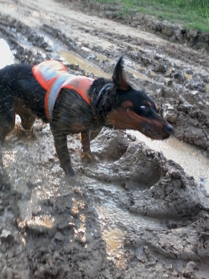 Pretrepať ! Nemiešať ! :)