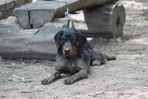 Čierna s blateným :)