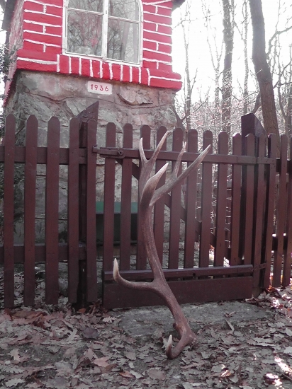 Konečne sa zadarilo